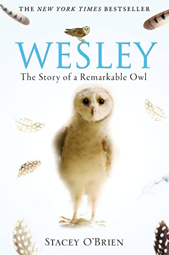 Wesley: The Story of a Remarkable Owl von Constable